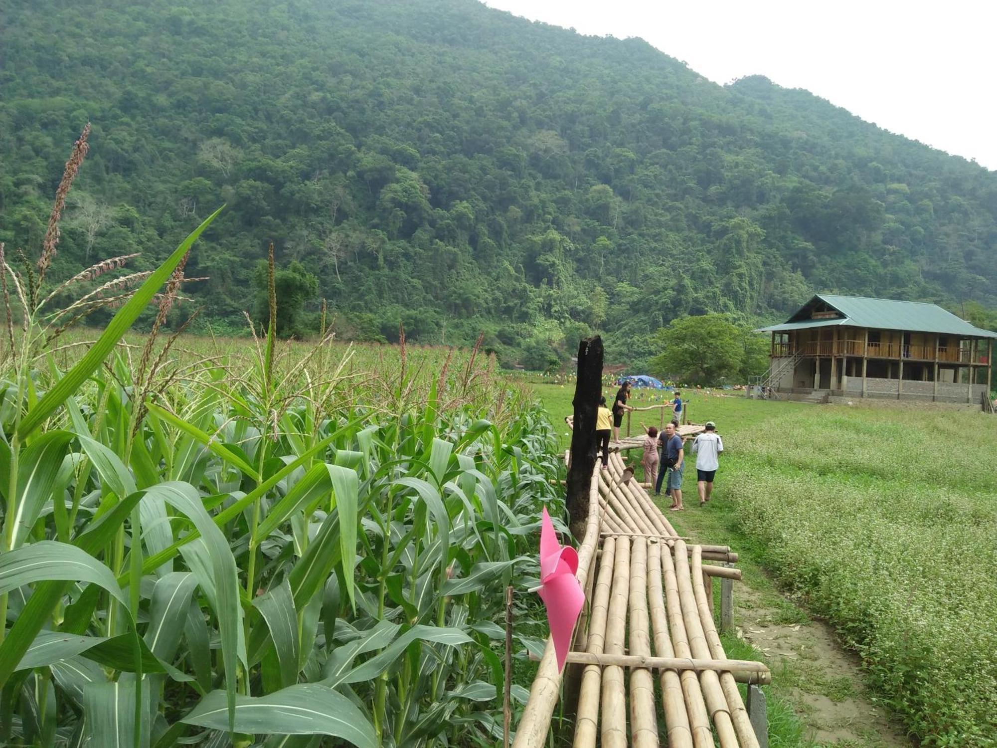 Tran Xuan Homestay Ba Be Εξωτερικό φωτογραφία